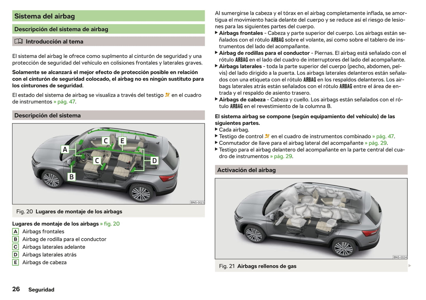 2017-2021 Skoda Kodiaq Bedienungsanleitung | Spanisch