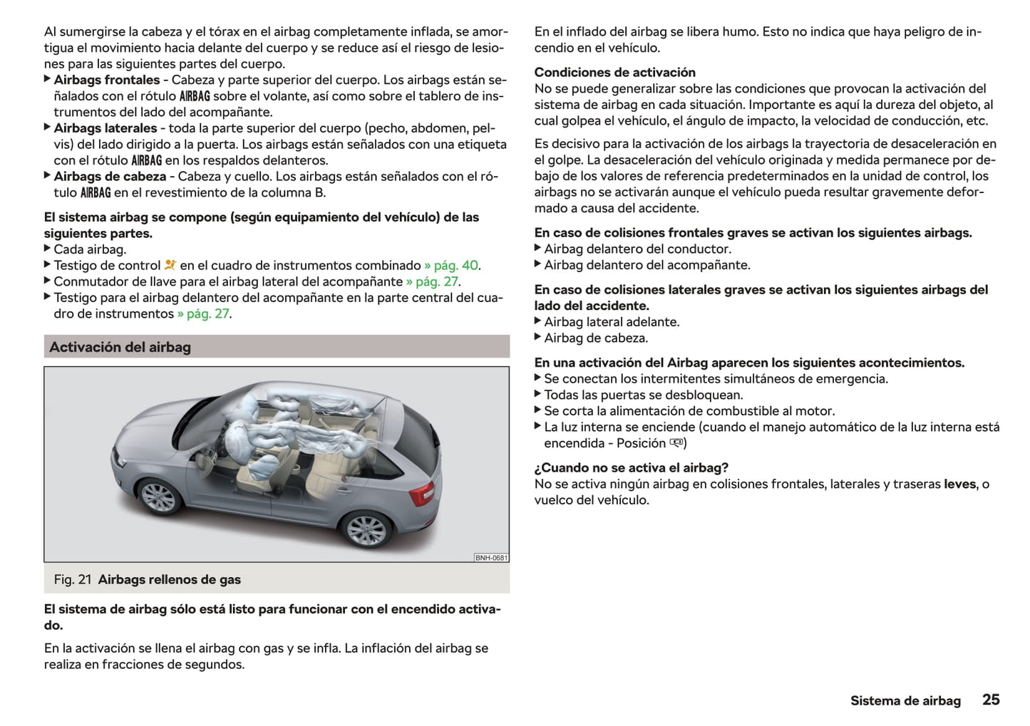 2017-2019 Skoda Rapid Bedienungsanleitung | Spanisch