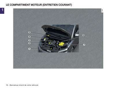2025-2026 Dacia Sandero/Sandero Stepway Owner's Manual | French