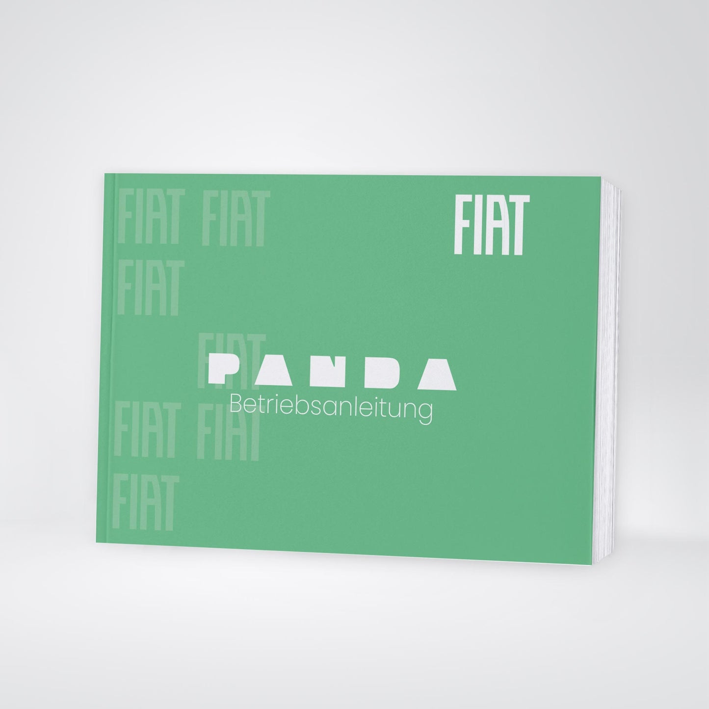2026 Fiat Grande Panda Bedienungsanleitung | Deutsch