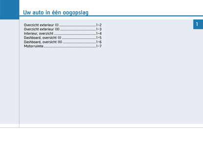 2018-2019 Hyundai i30 N Owner's Manual | Dutch