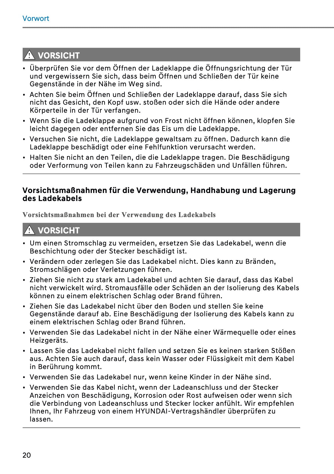 2026 Hyundai Santa Fe PHEV Owner's Manual | German