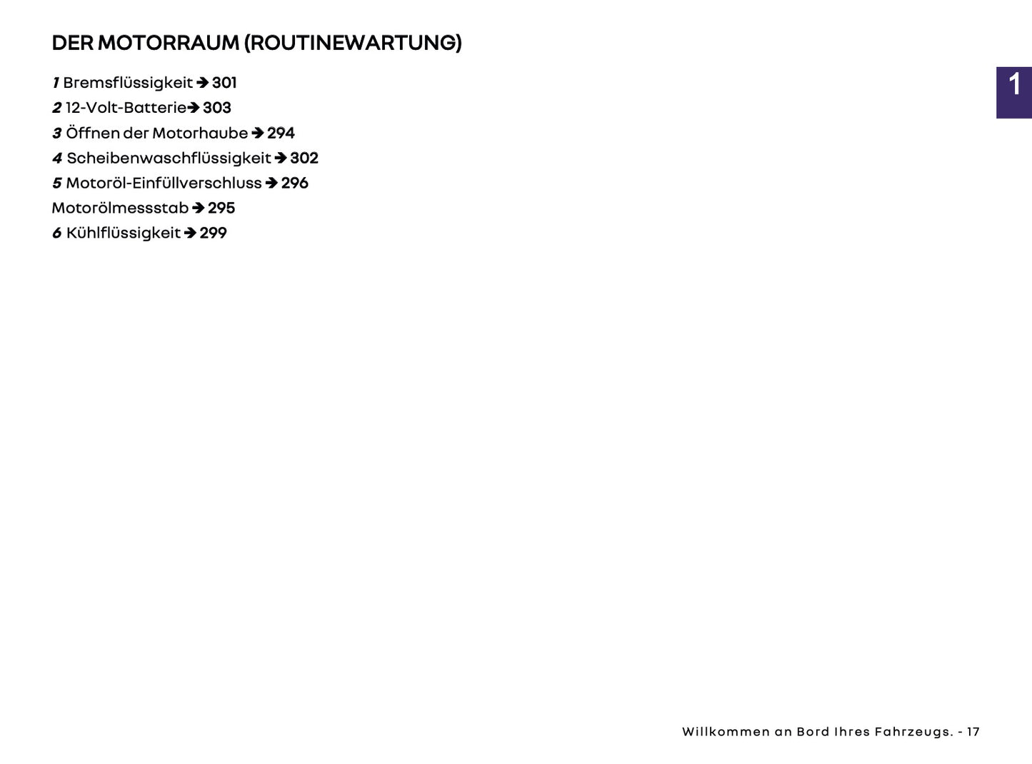 2025-2026 Renault Arkana Bedienungsanleitung | Deutsch