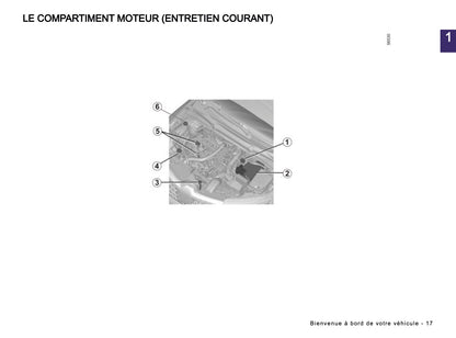 2024-2025 Renault Arkana Owner's Manual | French