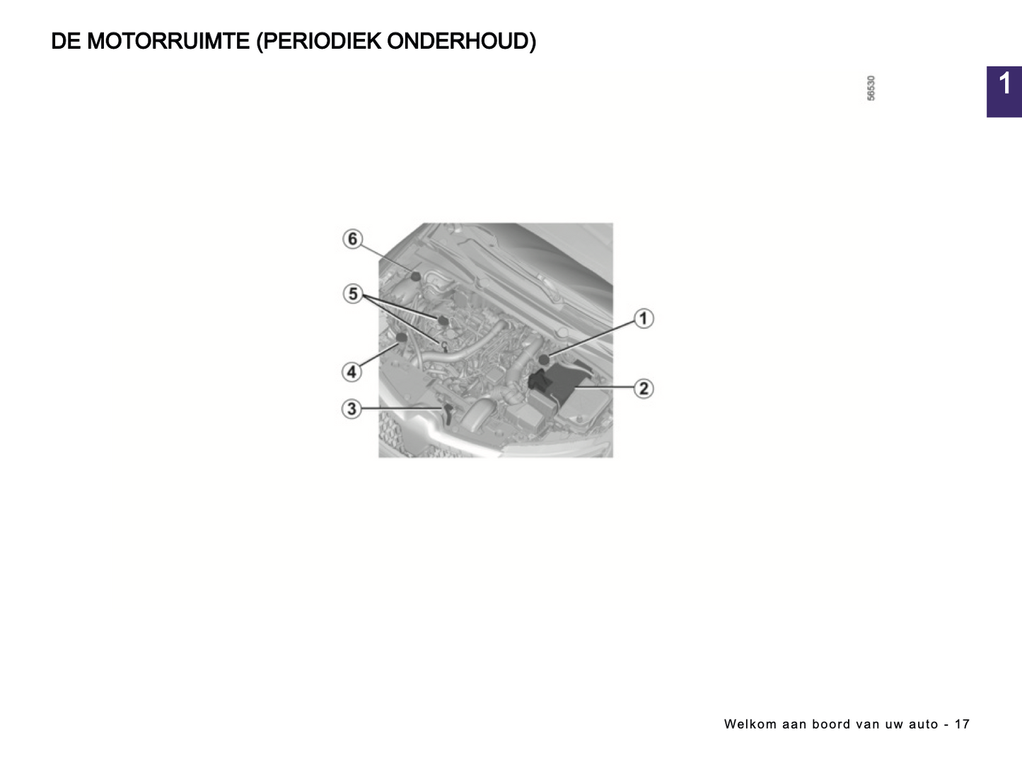 2024-2025 Renault Arkana Owner's Manual | Dutch