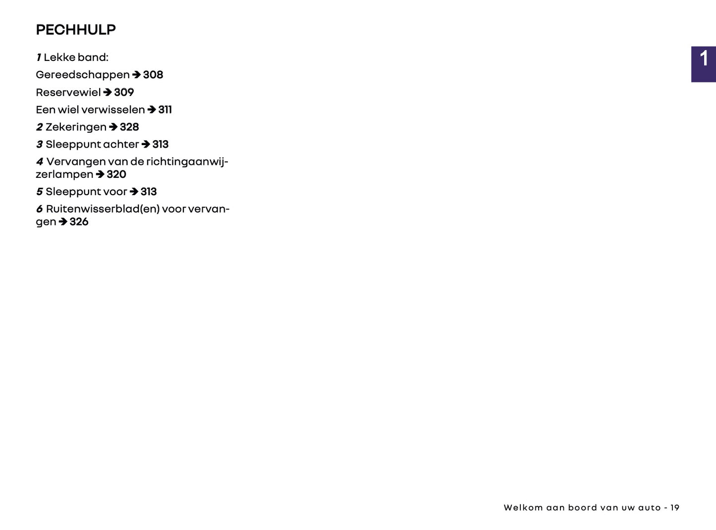 2025-2026 Renault Arkana Owner's Manual | Dutch