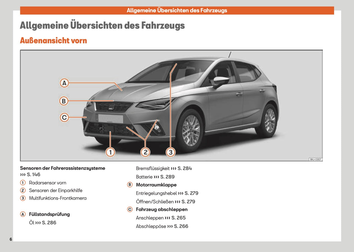 2025 Seat Ibiza Bedienungsanleitung | Deutsch