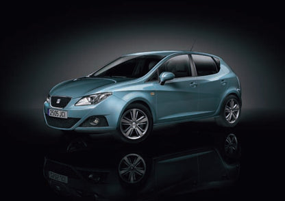 2010 Seat Ibiza Bedienungsanleitung | Niederländisch