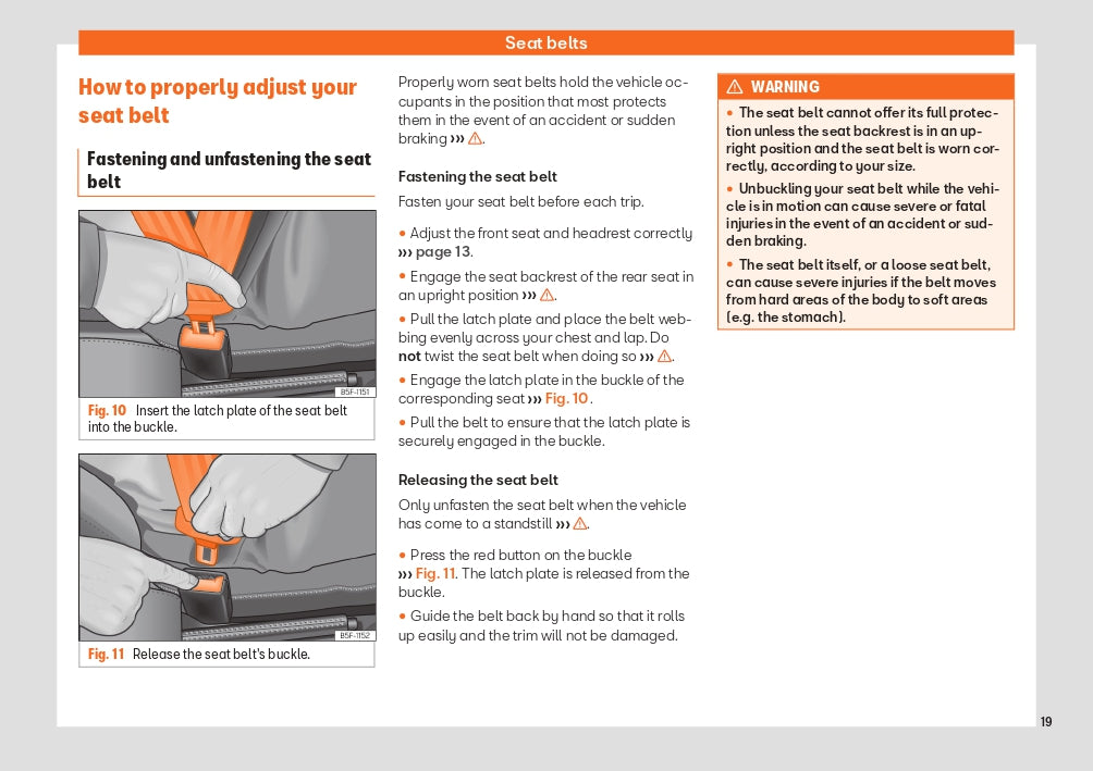 2022 Week 48 Seat Ibiza Owner's Manual | English