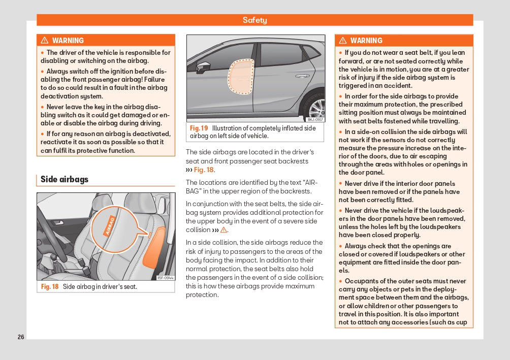 2022 Week 48 Seat Ibiza Owner's Manual | English