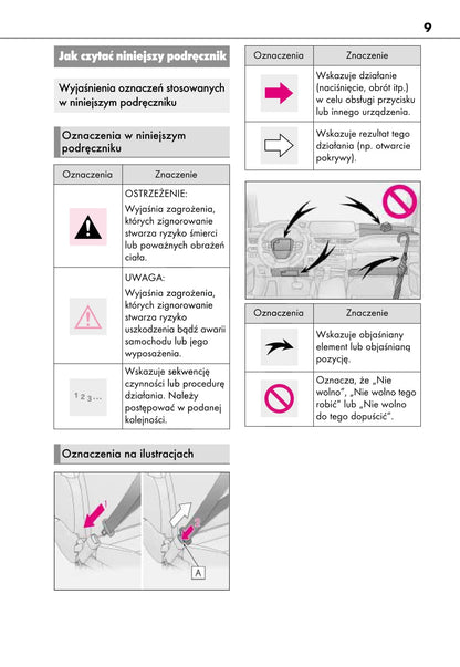 2019 Lexus UX 250h Owner's Manual | Polish