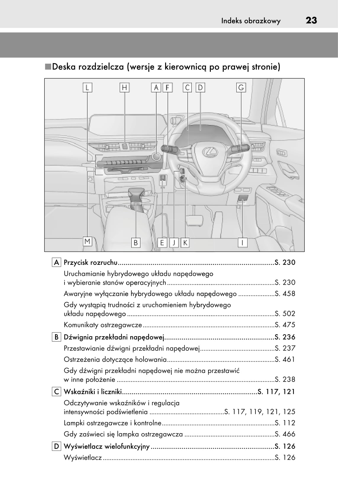 2019 Lexus UX 250h Owner's Manual | Polish