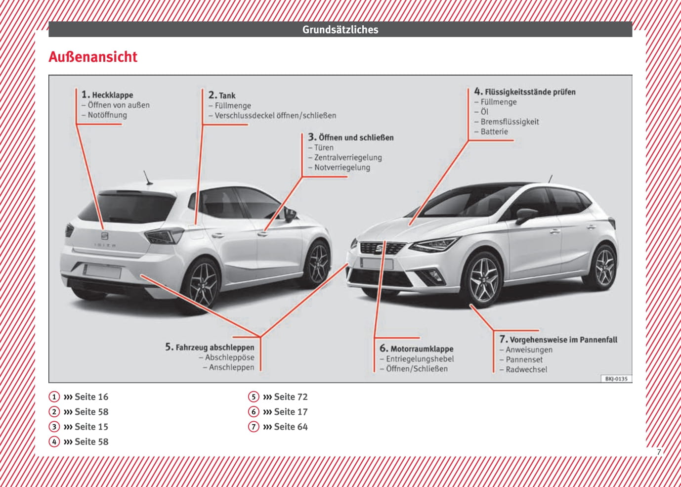 2017-2018 Seat Ibiza Owner's Manual | German