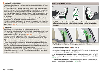 2018-2019 Skoda Rapid Owner's Manual | Spanish