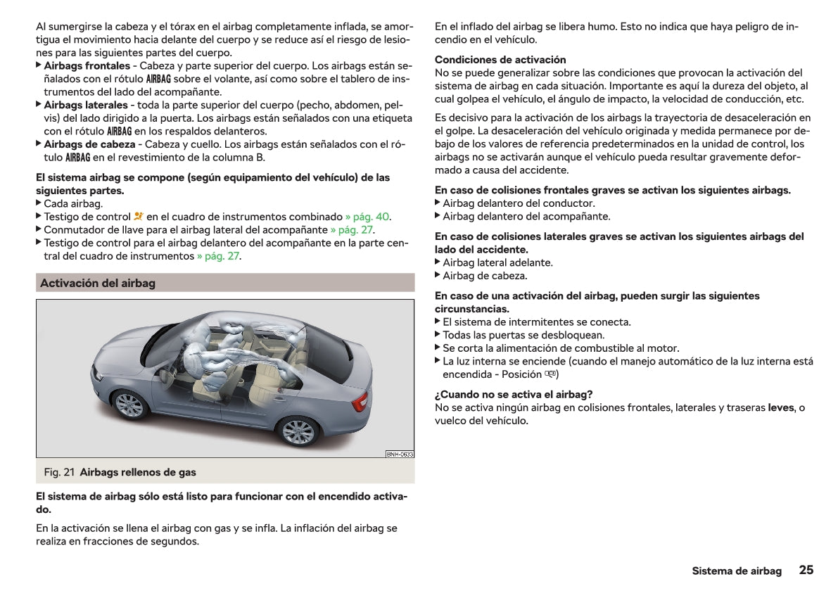 2018-2019 Skoda Rapid Owner's Manual | Spanish