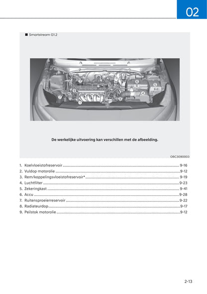 2021-2022 Hyundai i20 Owner's Manual | Dutch