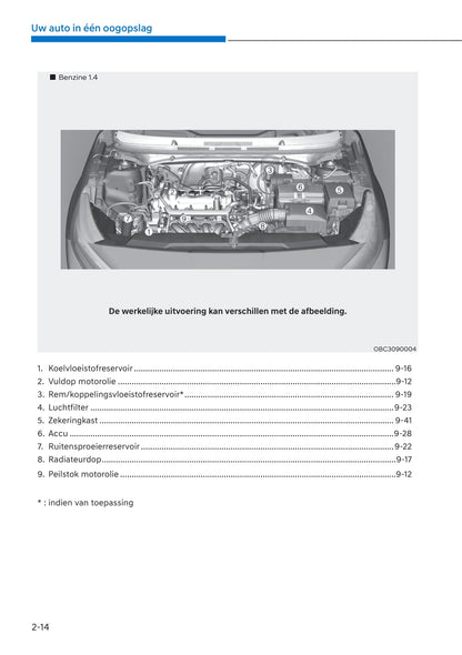 2021-2022 Hyundai i20 Bedienungsanleitung | Niederländisch