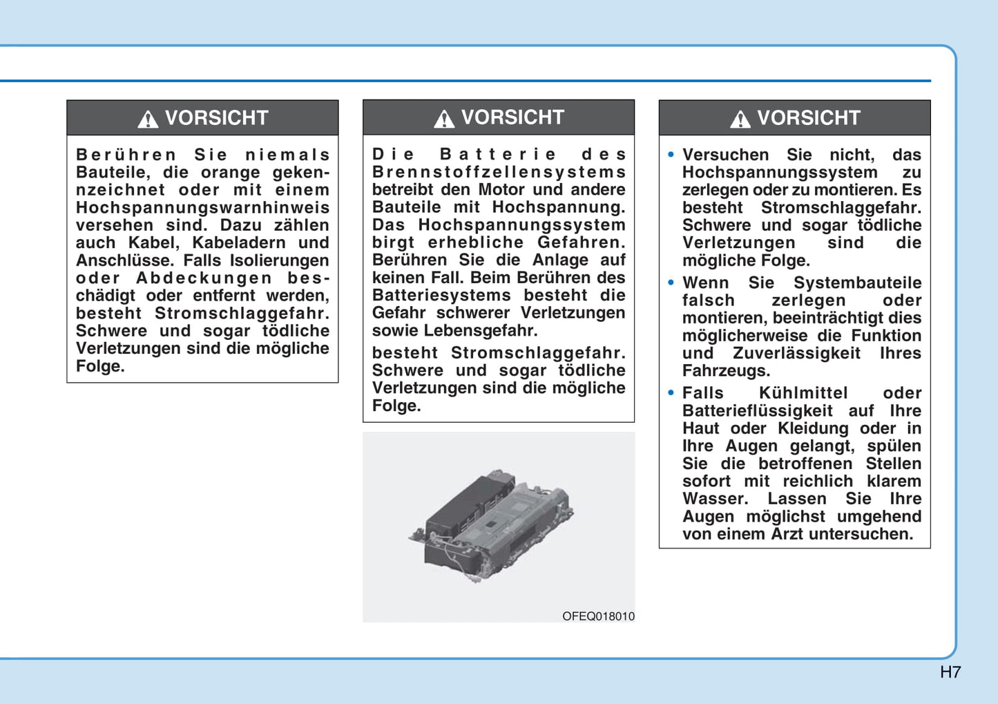 2018-2019 Hyundai Nexo Owner's Manual | German