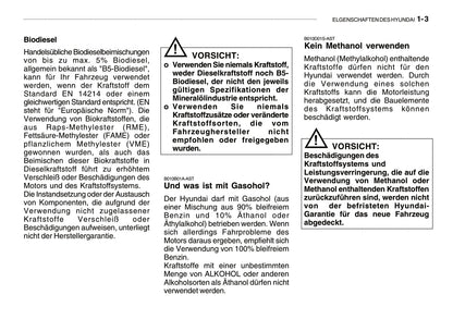 2008-2009 Hyundai Getz Bedienungsanleitung | Deutsch