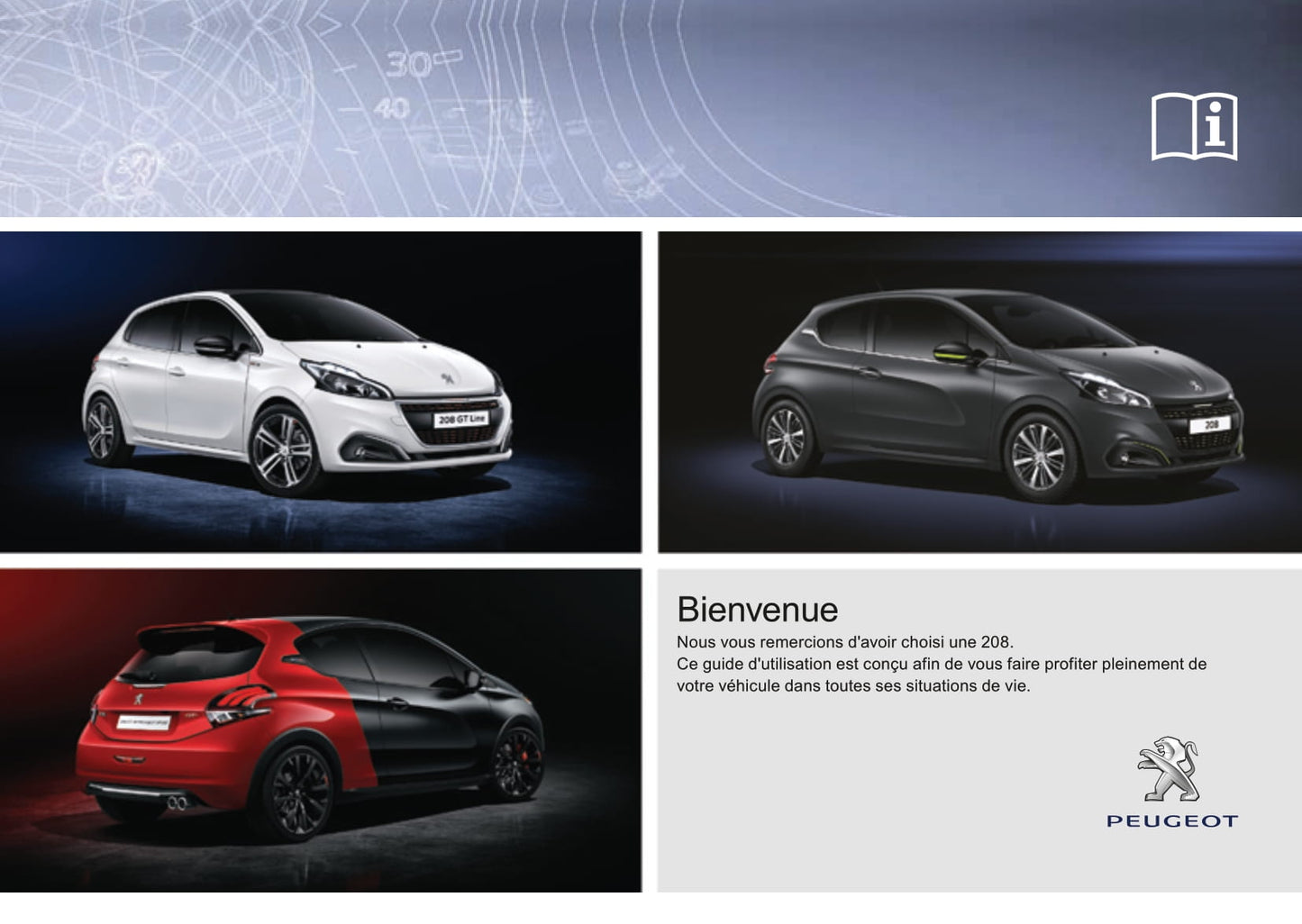 2015-2017 Peugeot 208 Bedienungsanleitung | Französisch