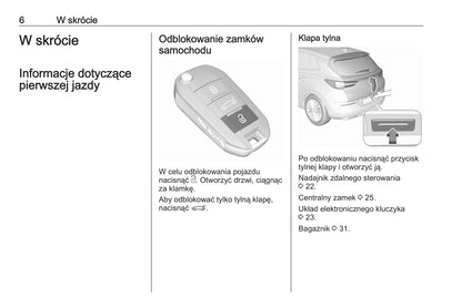 2019-2020 Opel Grandland X Bedienungsanleitung | Polnisch