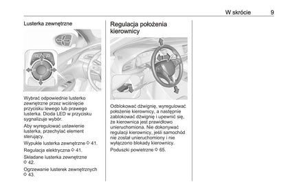 2020 Opel Insignia Bedienungsanleitung | Polnisch