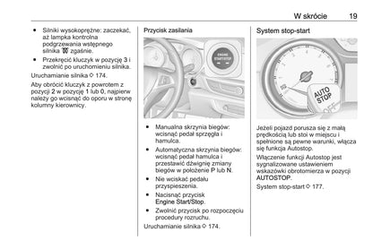 2020 Opel Insignia Owner's Manual | Polish