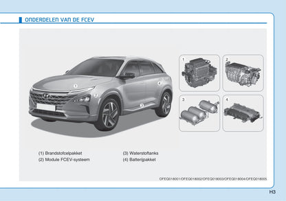 2020-2021 Hyundai Nexo Owner's Manual | Dutch