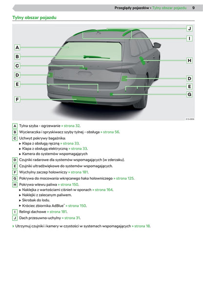 2020 Skoda Octavia Bedienungsanleitung | Polnisch