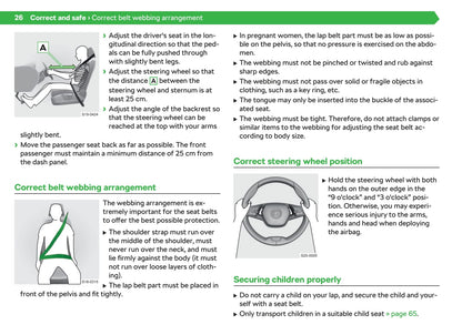 2020-2021 Skoda Enyaq iV Owner's Manual | English