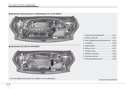 2019-2020 Kia Sportage Bedienungsanleitung | Niederländisch