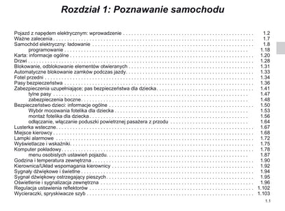 2019-2020 Renault Zoe Bedienungsanleitung | Polnisch